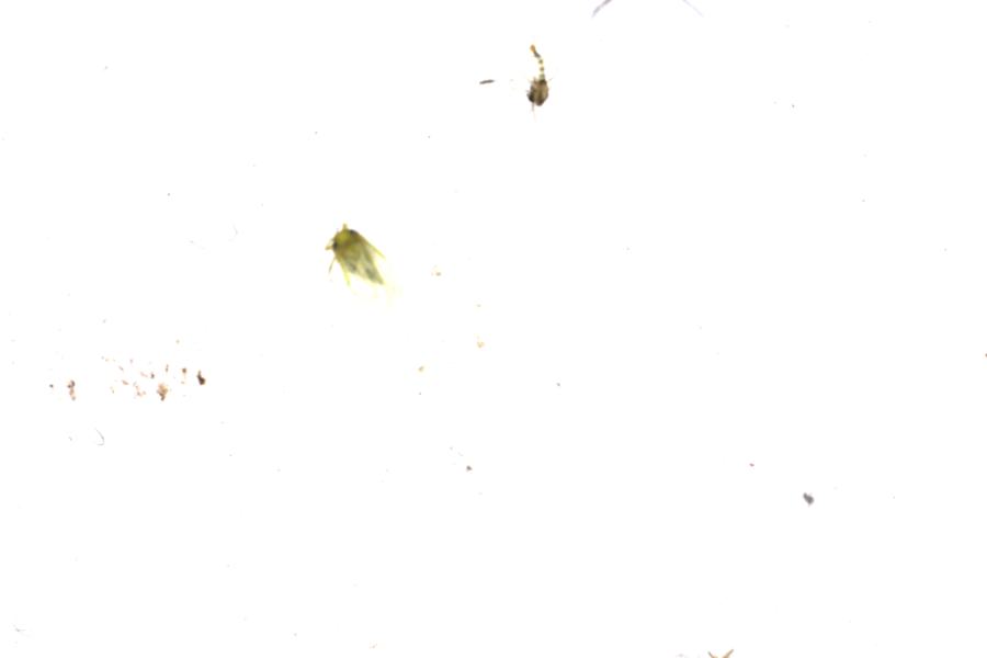 Image 87